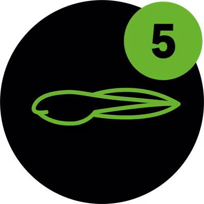 Tadpole