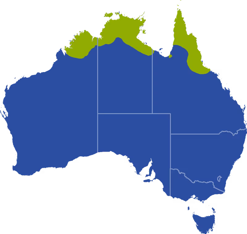 Distribution map for Litoria bicolor