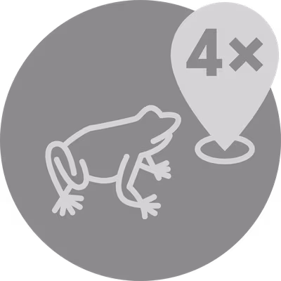 Roamer Plus