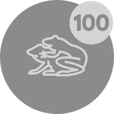 Amplexus