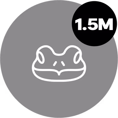 1.5 Millionth Frog